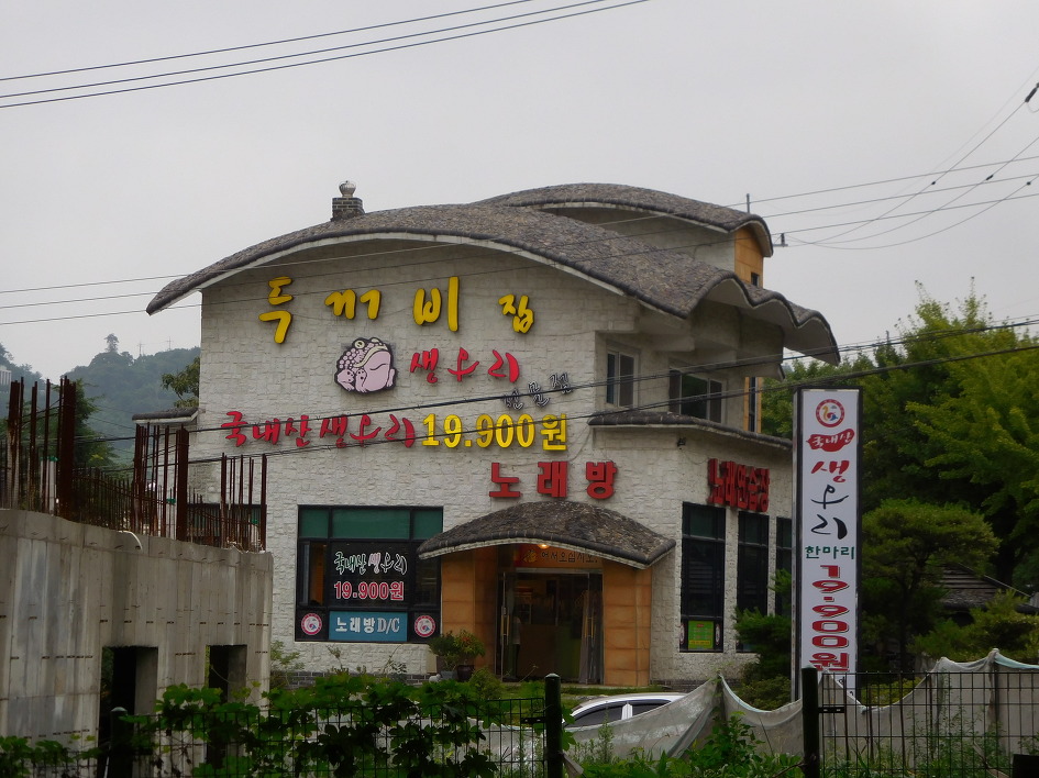 둥지생오리 이미지