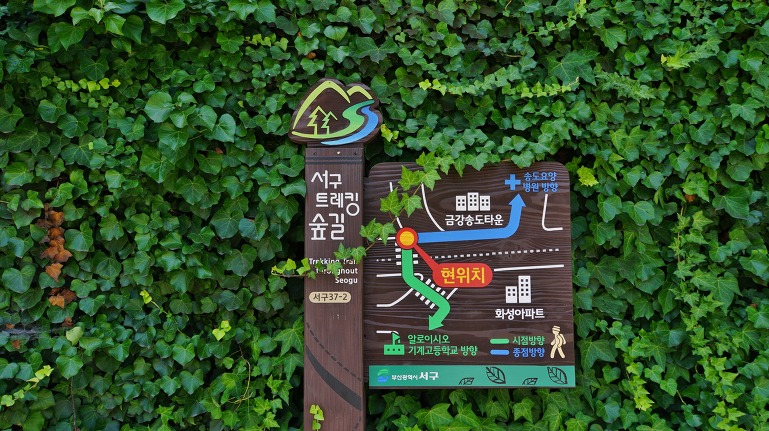 천마럭키슈퍼 이미지