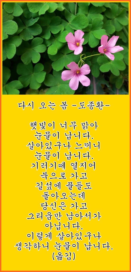 다시오는봄 도정한