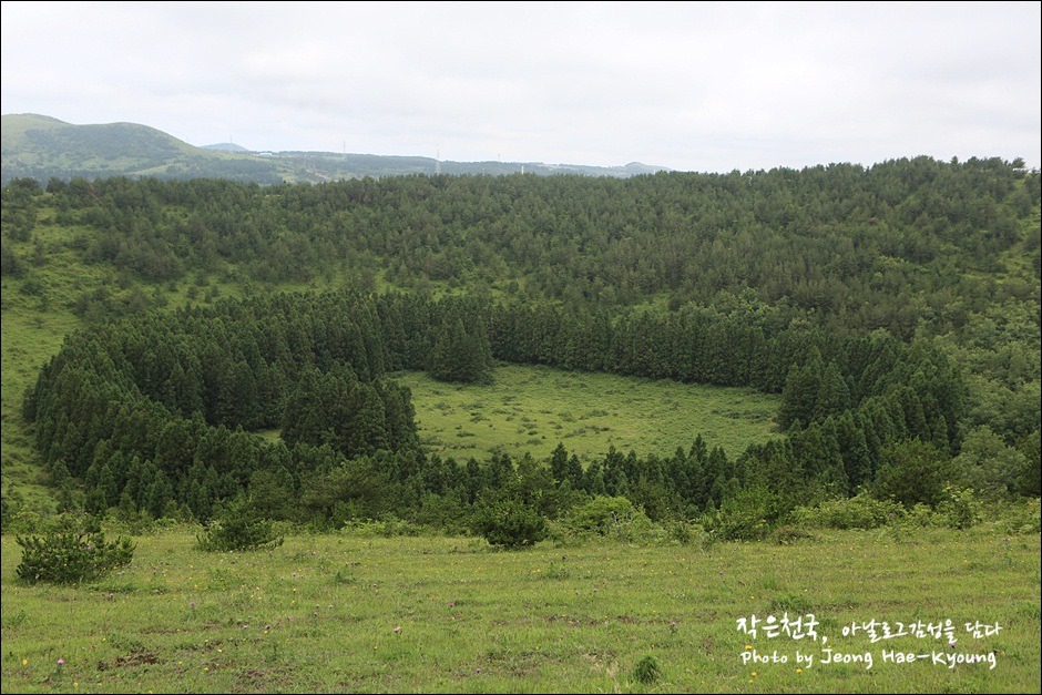 [제주] 찍기만 하면 작품이 되던 2박3일 제주여행 