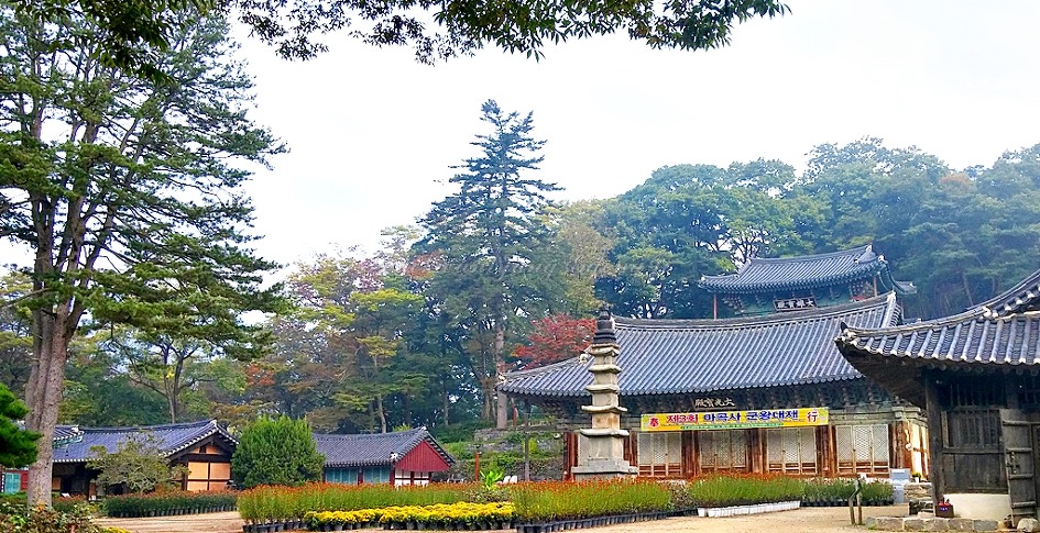 아침 산책으로 다녀온 공주 마곡사