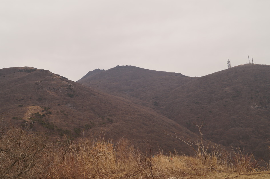 2050카페 | 무등산-봅 폭설에 복수초가 동상을 입었다 - Daum 카페 무등산-봅 폭설에 복수초가 동상을 입었다