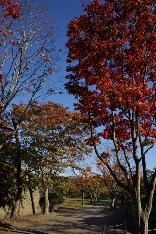 아... 맞습니다. 가을이였습니다.