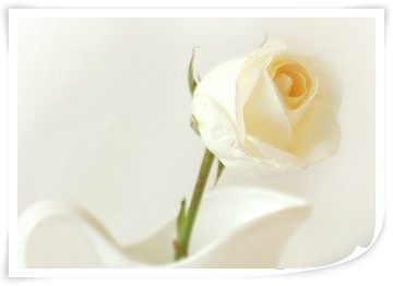 만남보다 빨리 오는 이별 앞에 삶은 가끔 눈물 겨워도/이해인