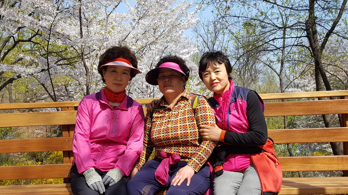 중구회현센타 스트레칭회원과함께 남산 꽃길을 걷다.