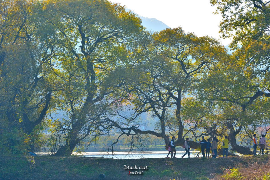 마음이 머물러 길이되다(DAY 121)-경산 반곡지 가을