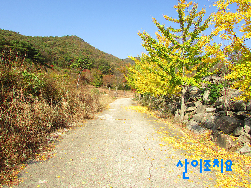 추령주유소 이미지