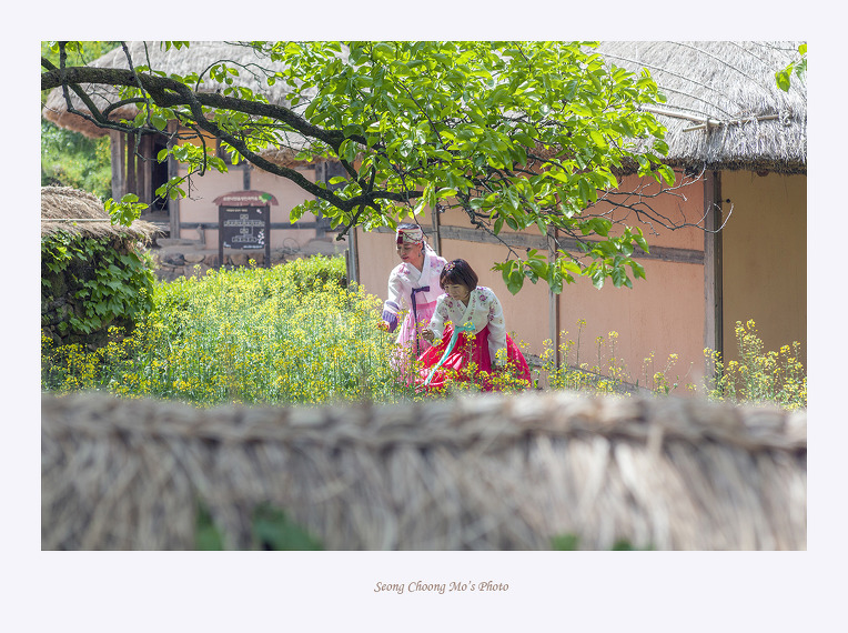 화려한 외출
