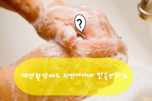 톡톡이네 이미지