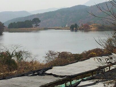 벌꿀농장서상돌양봉장