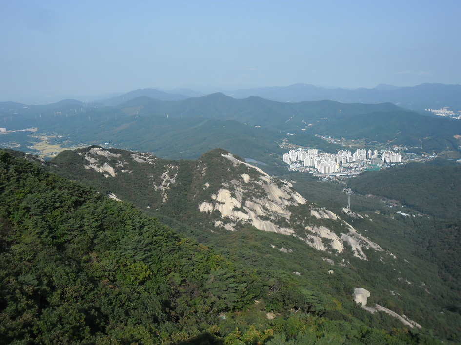 이미지