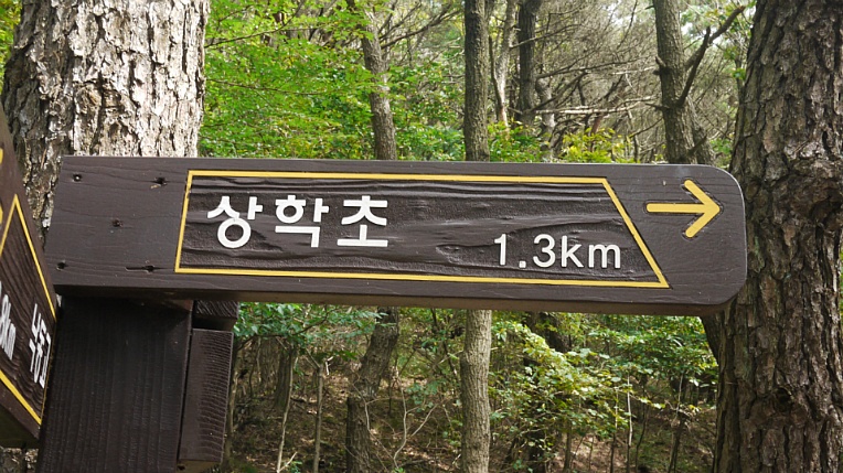 226D0646560116960BDDE1