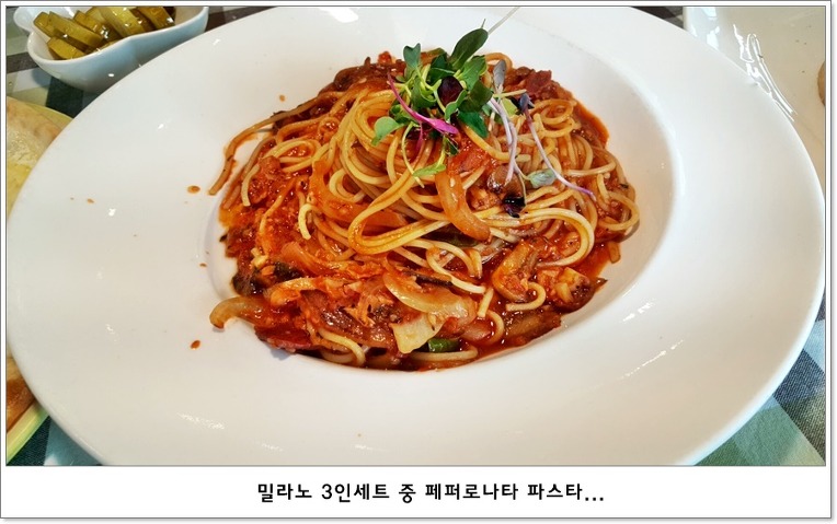 오르또 이미지