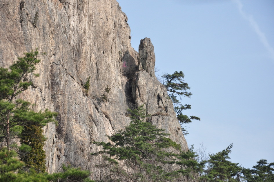 국립변산자연휴양림 이미지