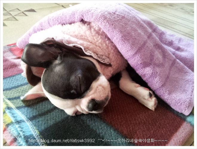 우리인사 이미지
