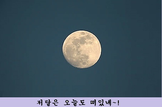 나그네길 이미지