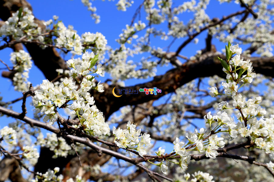 좋은축산마을 이미지