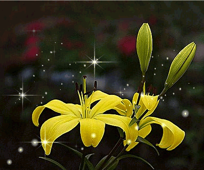 24559A4954E53CAD1F1BE7