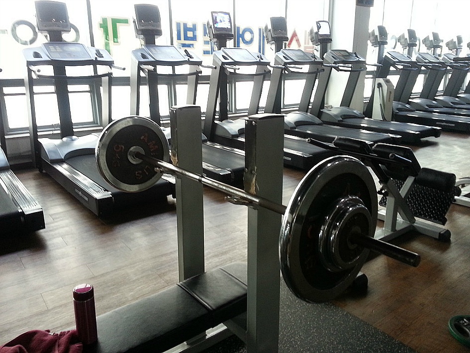 2주간 운동일지【14년12월4일】