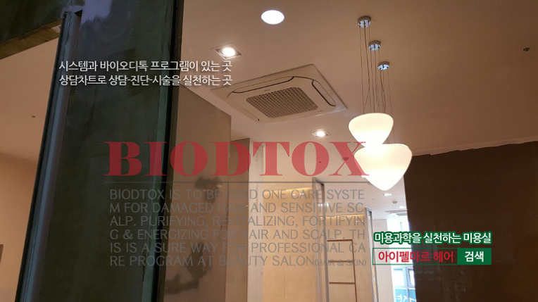 마르헤어 이미지