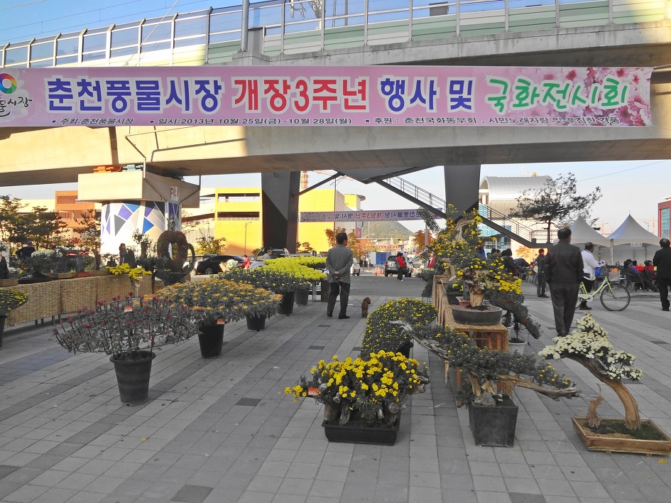 풍물시장 이미지