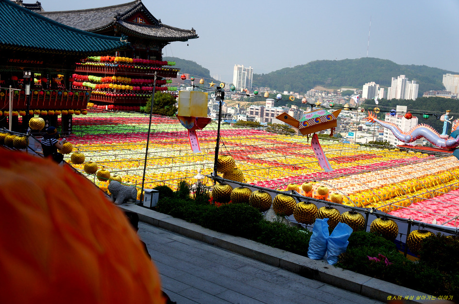 부산 삼광사 연등