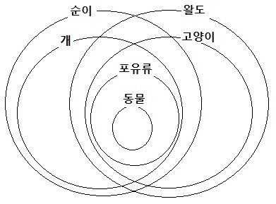 외연과 내연의 비대칭성: 집합론적 해석