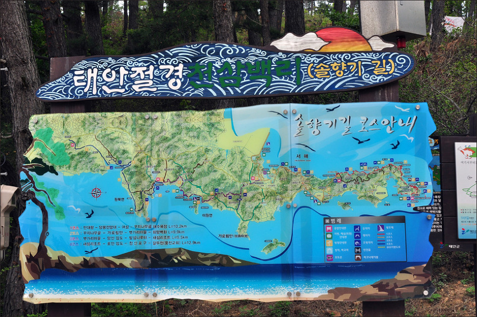 솔향기환경 이미지
