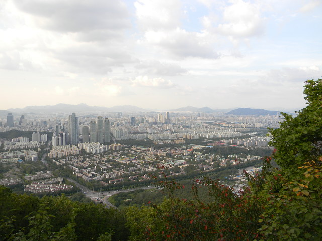 구룡산정상 조망대 이미지