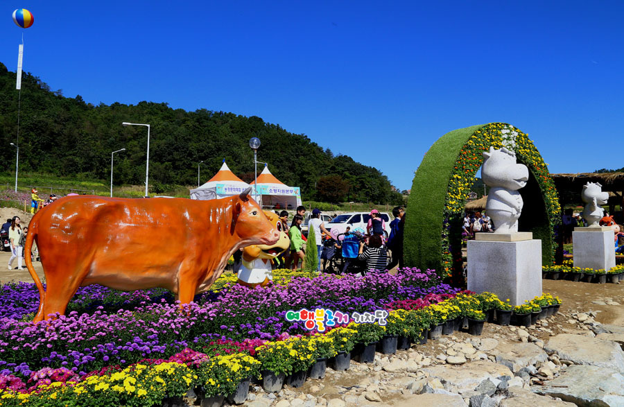 횡성축산물 이미지