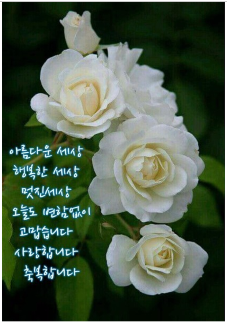 대지주유소 이미지