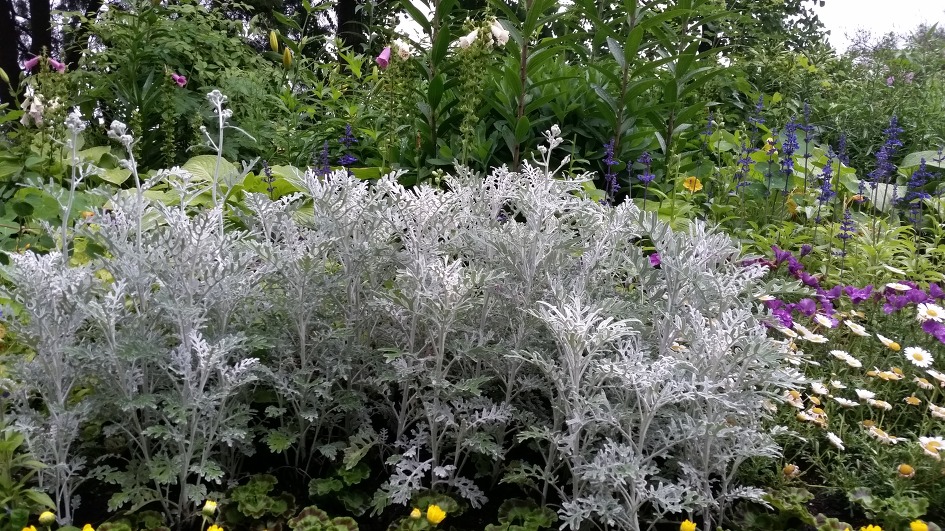 남산둘레길에서 / 2017.06.10