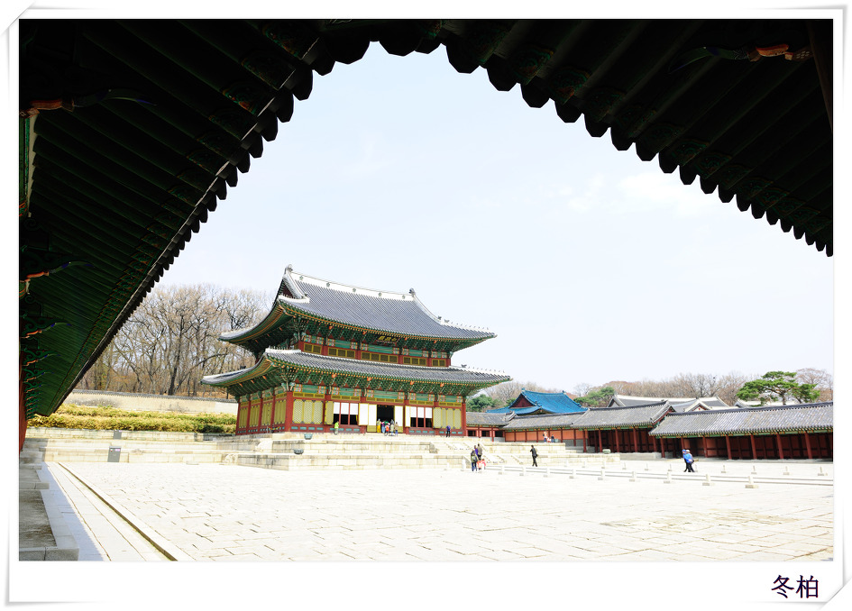 창덕궁의봄