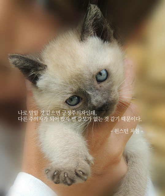 나로 말할 것 같으면 긍정주의자인데...