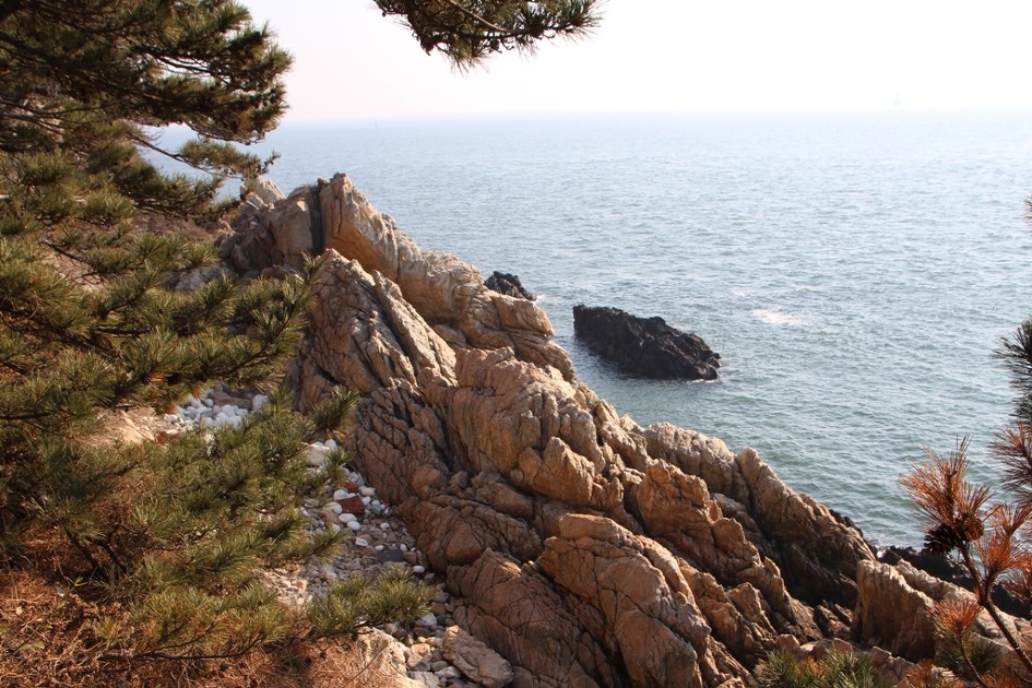 서천 마량리 동백나무숲 & 군함바위 일몰....