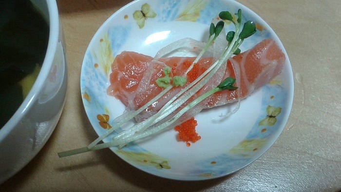연어시대
