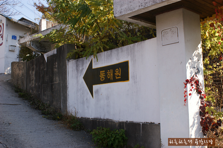 고스락2008 | 공주 동해원 짬뽕 - Daum 카페 공주 동해원 짬뽕 