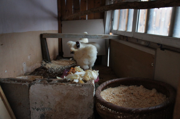 이래저래 바쁜 날들