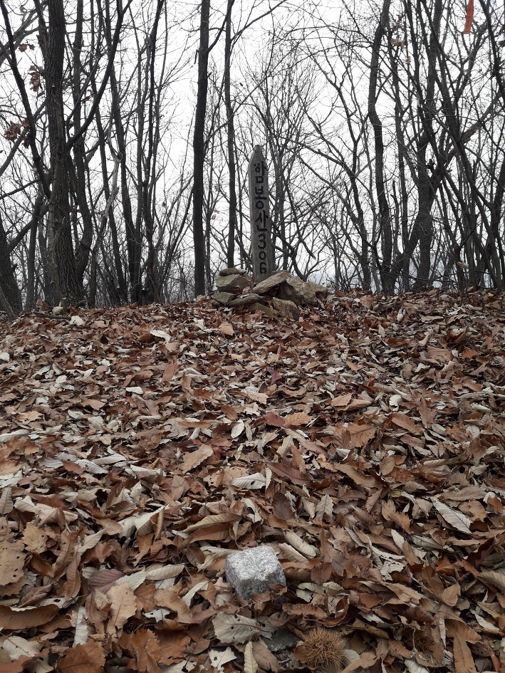낙엽쌓인 화성 무봉산,함봉산(2018년11월11일)