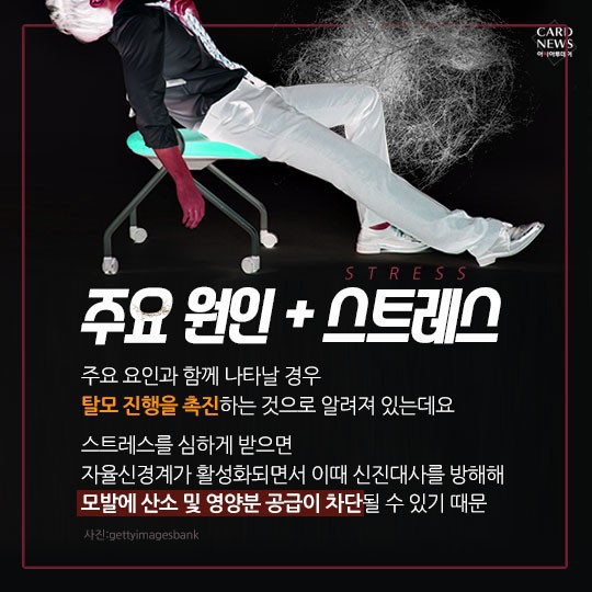 [카드뉴스] “소중한 머리카락 왜 자꾸 빠질까?”... 탈모 원인 및 치료법? 