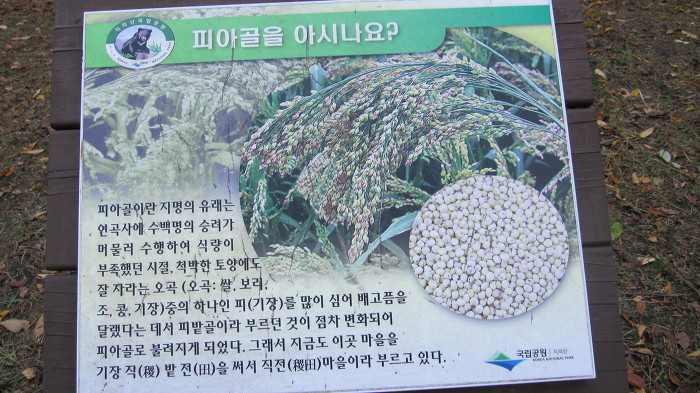 지리산 피아골 단풍 산행기