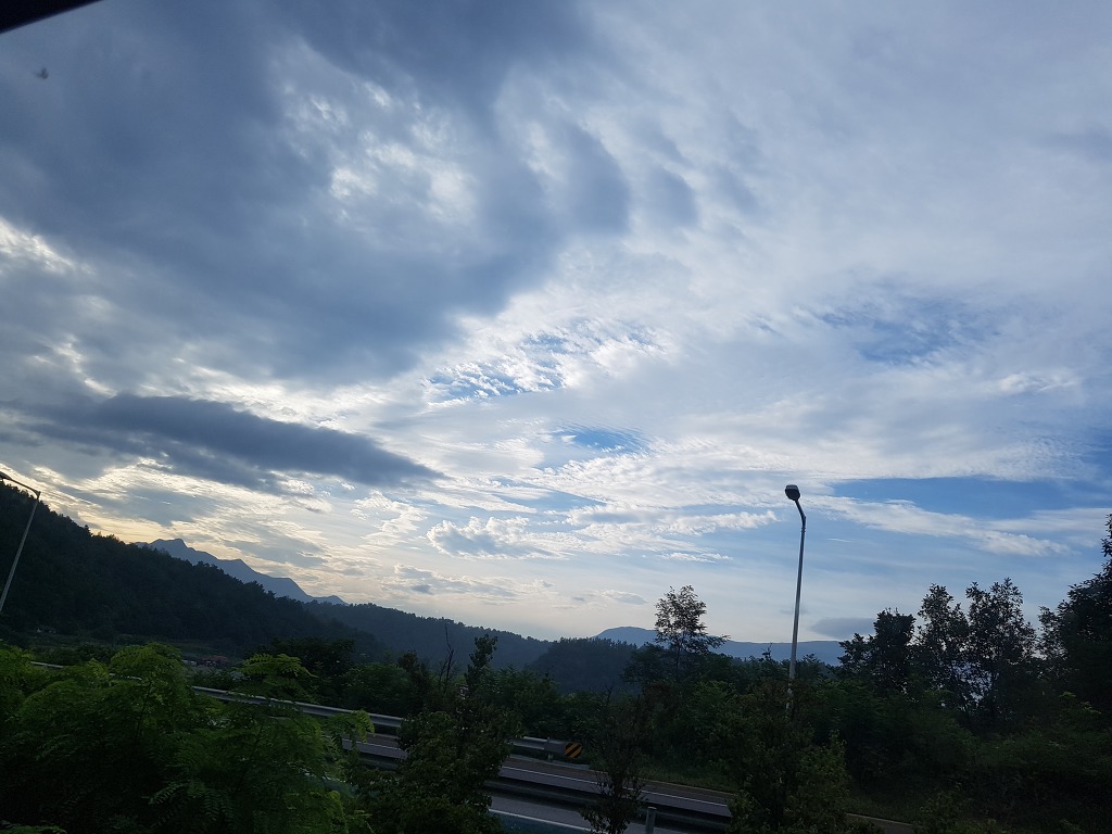 버릴 줄 모르면 죽는다네