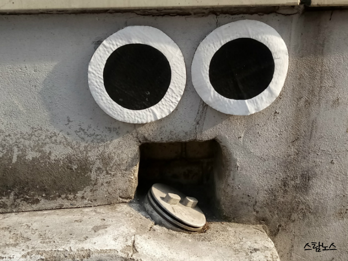 얼굴