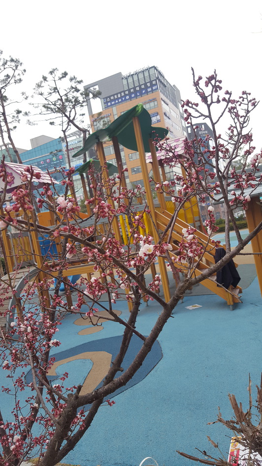 인천서구 놀이터 페인트 작업