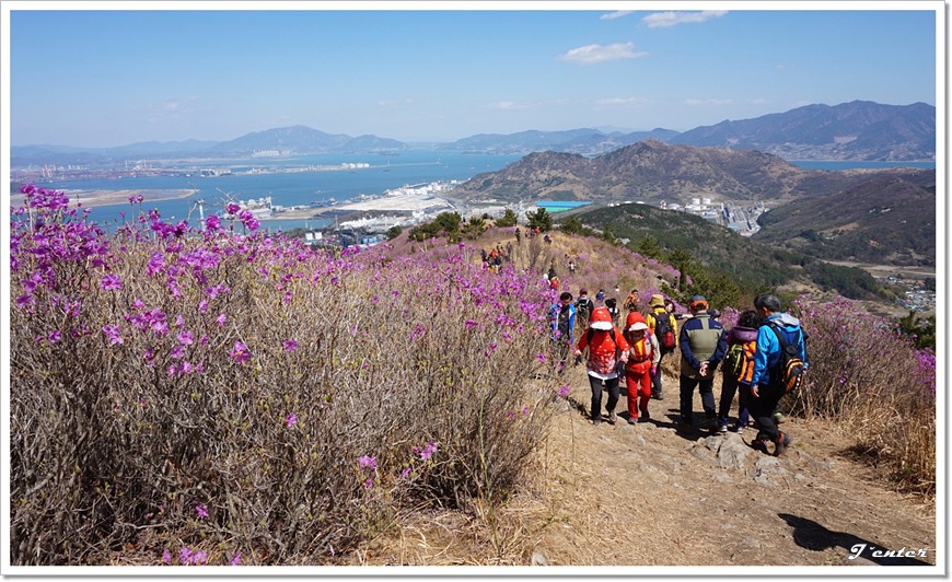 여수 진달래꽃 산행 명산 - 영취산 등산코스