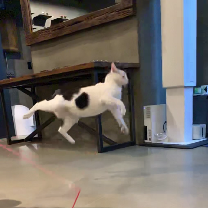 주니의 악셀(반바퀴)