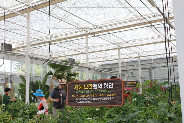 원본이미지(클릭)
