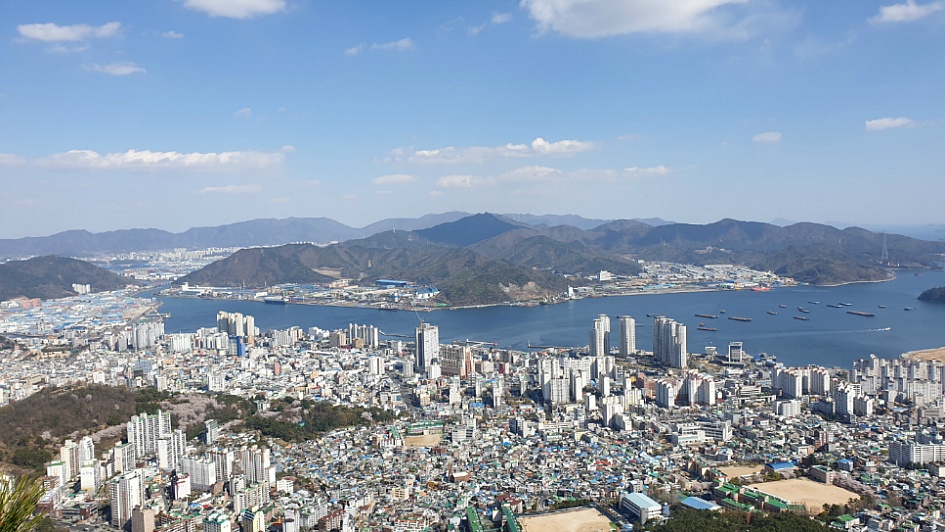 마산 무학산 진달래산행.