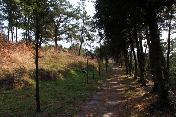 남해여행, 한번 들어오면 나가기 싫은 남해 비자림