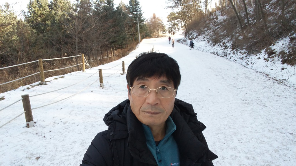 인제 자작나무숲(원대리)